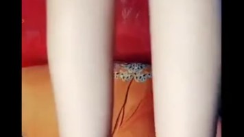 Bokep Indo Imel Ngangkang Lanjut Omek Terong