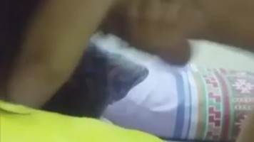 Bokep Indo Alvian ML Show