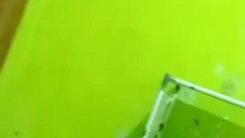 Dhila ML Di Masukin Dulu Pakai Timun