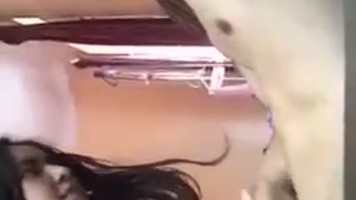 Bokep Ngentot – Enaknya Disepongin Pacar Ngewe Dijepit Susunya