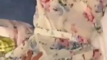 Disepong Chindo Suka Oral Sex